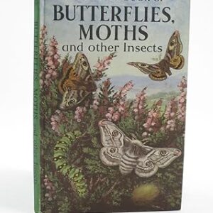 Butterflies, Moths and Other Insects