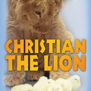Christian the Lion