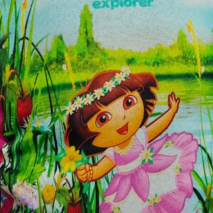 Dora the explorer: non-tearable cloth book for toddlers.