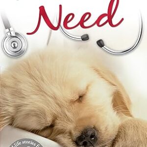 Pets in Need by Marc Abraham