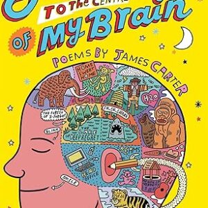 Journey to the Centre of My Brain