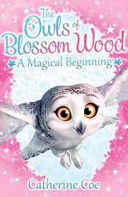 A Magical Beginning ( The Owls of Blossom Wood )